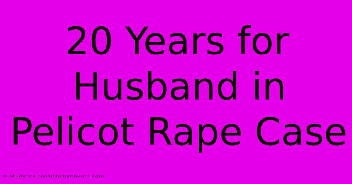 20 Years For Husband In Pelicot Rape Case