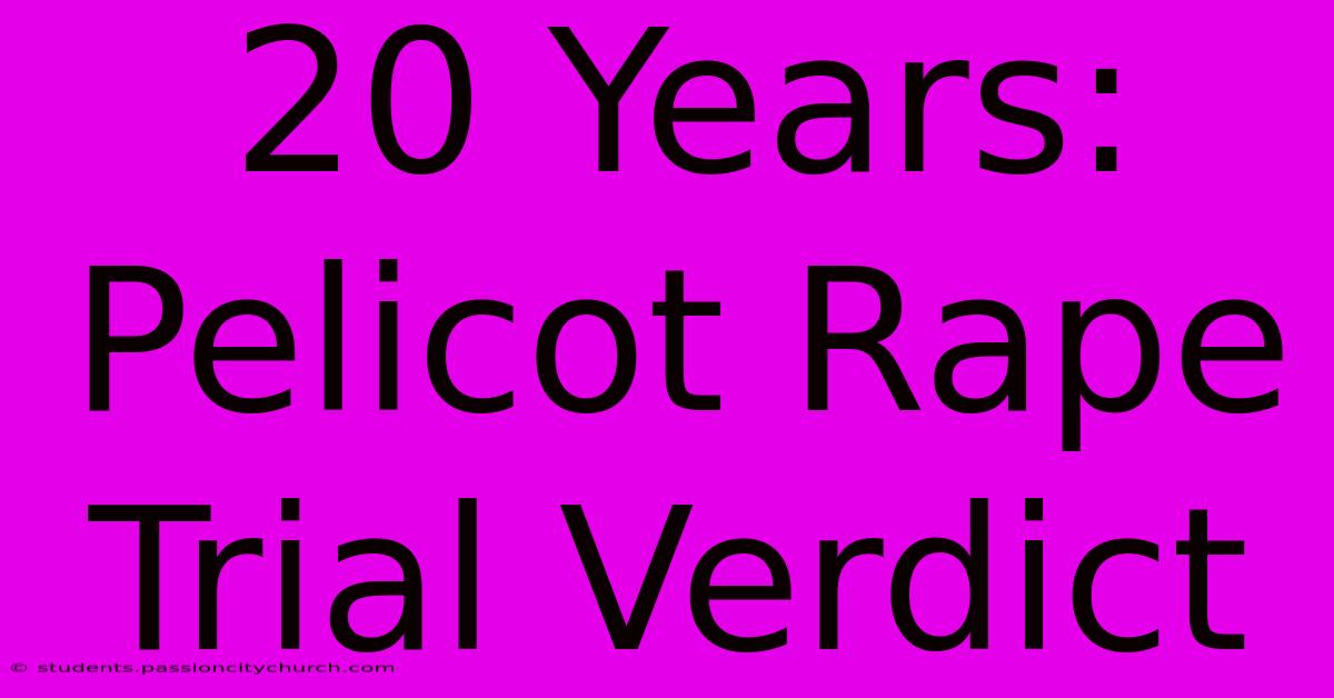 20 Years: Pelicot Rape Trial Verdict