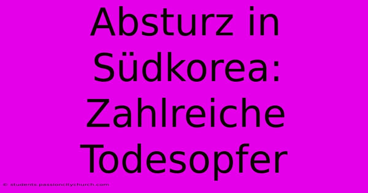 Absturz In Südkorea:  Zahlreiche Todesopfer