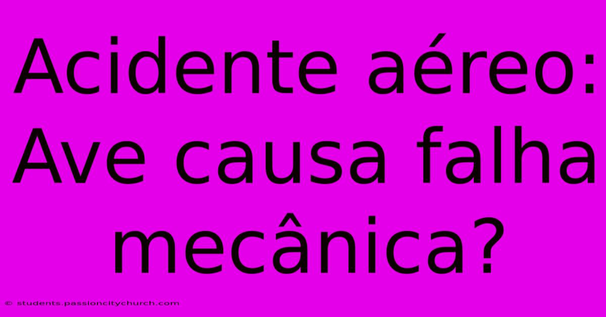 Acidente Aéreo: Ave Causa Falha Mecânica?