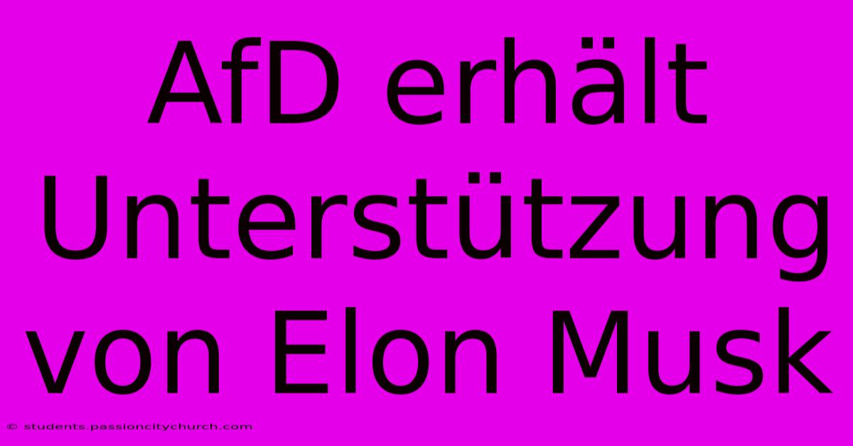 AfD Erhält Unterstützung Von Elon Musk