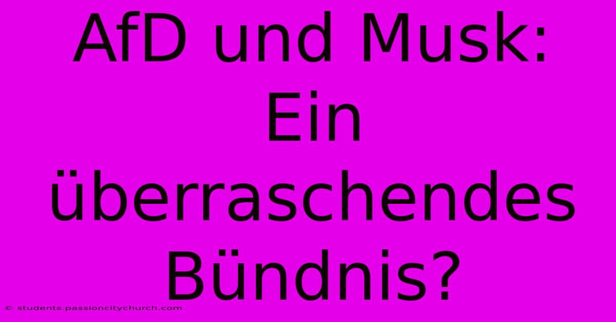 AfD Und Musk:  Ein Überraschendes Bündnis?