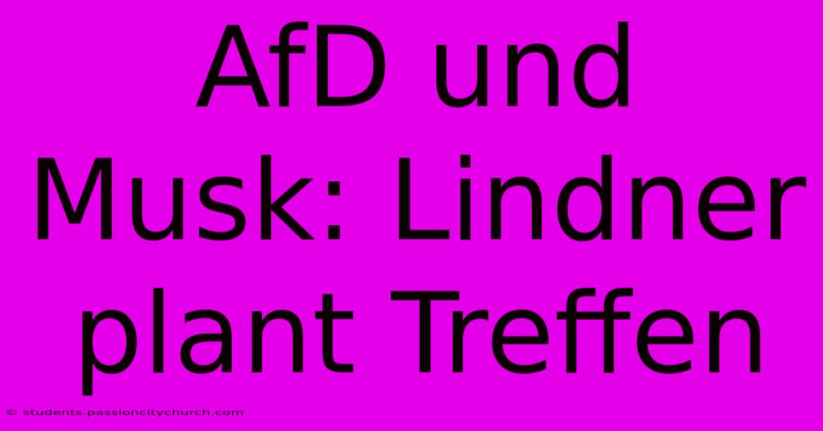 AfD Und Musk: Lindner Plant Treffen