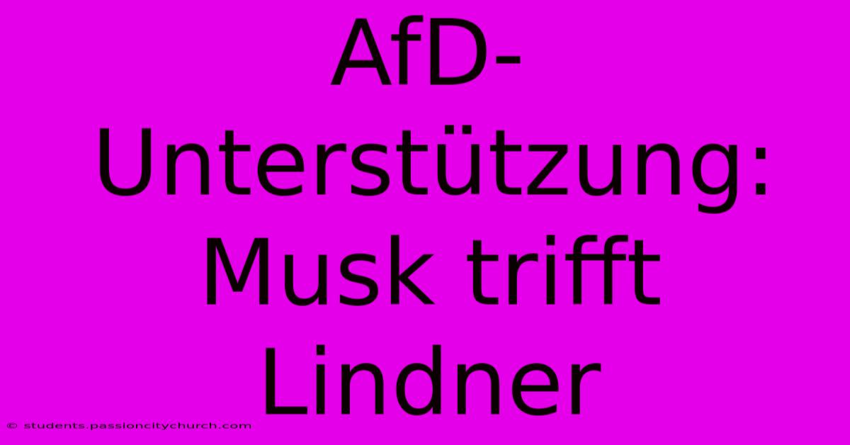 AfD-Unterstützung: Musk Trifft Lindner