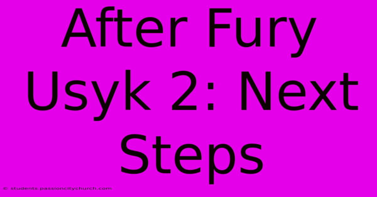 After Fury Usyk 2: Next Steps