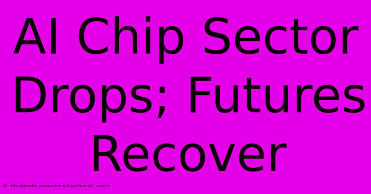 AI Chip Sector Drops; Futures Recover