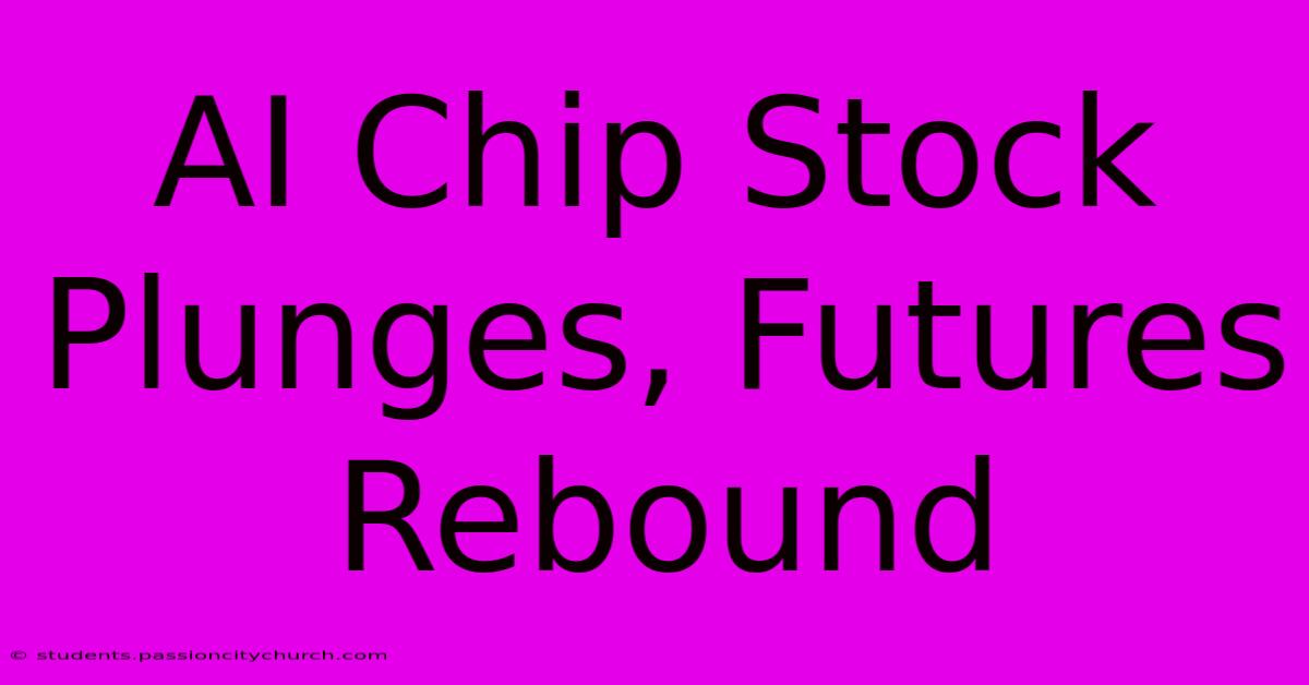 AI Chip Stock Plunges, Futures Rebound