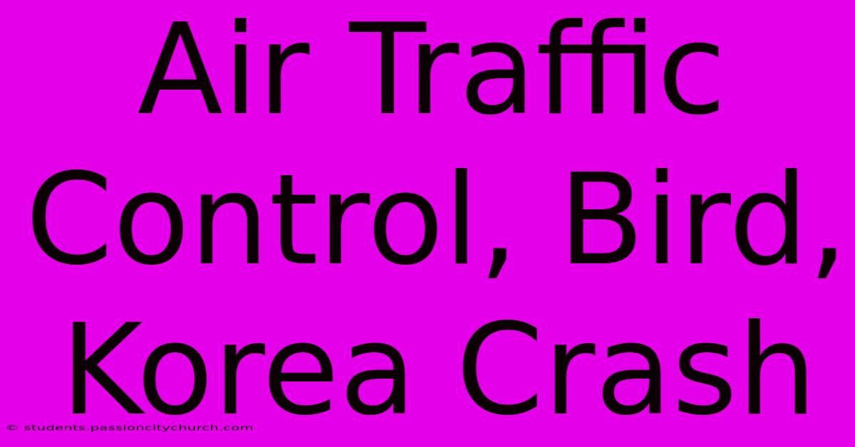 Air Traffic Control, Bird, Korea Crash