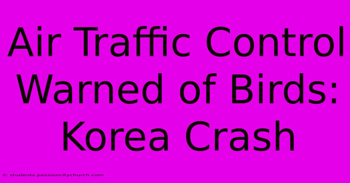 Air Traffic Control Warned Of Birds: Korea Crash