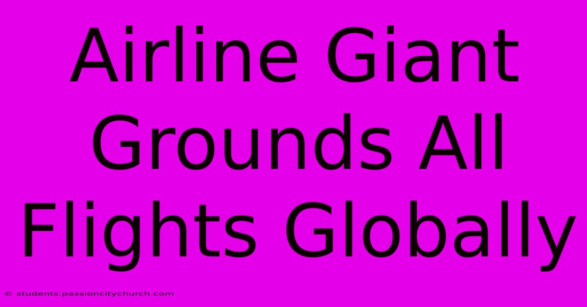 Airline Giant Grounds All Flights Globally