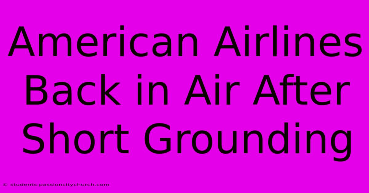 American Airlines Back In Air After Short Grounding