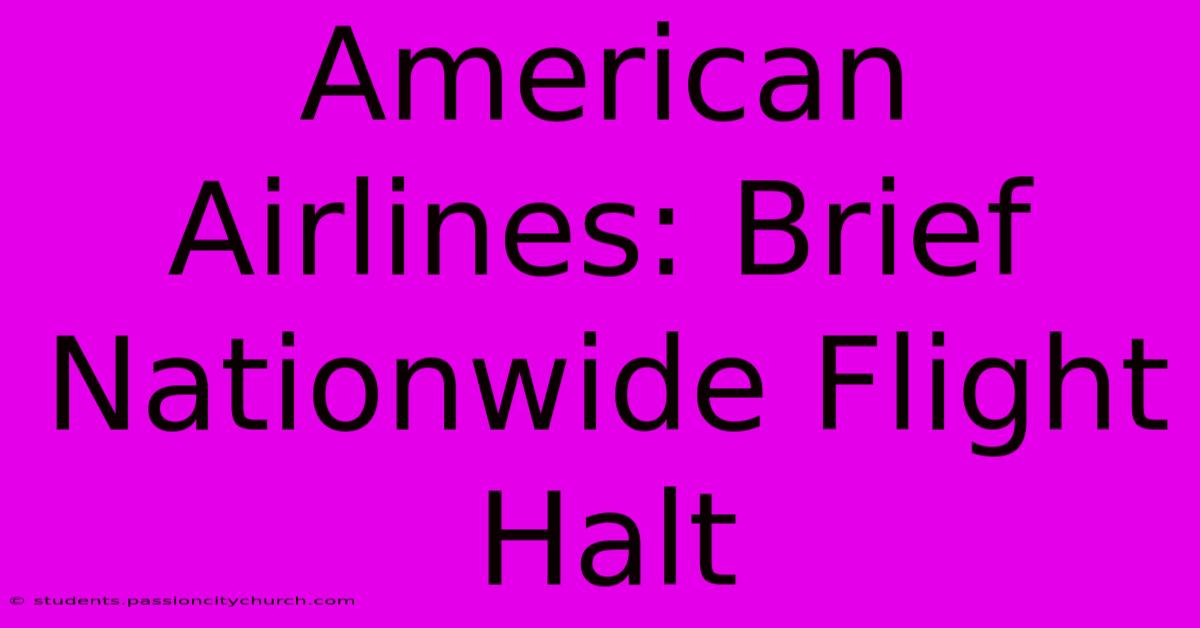 American Airlines: Brief Nationwide Flight Halt