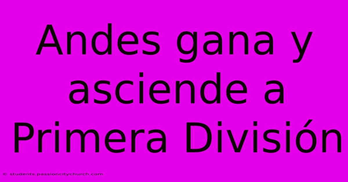 Andes Gana Y Asciende A Primera División