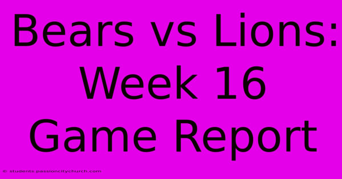 Bears Vs Lions: Week 16 Game Report