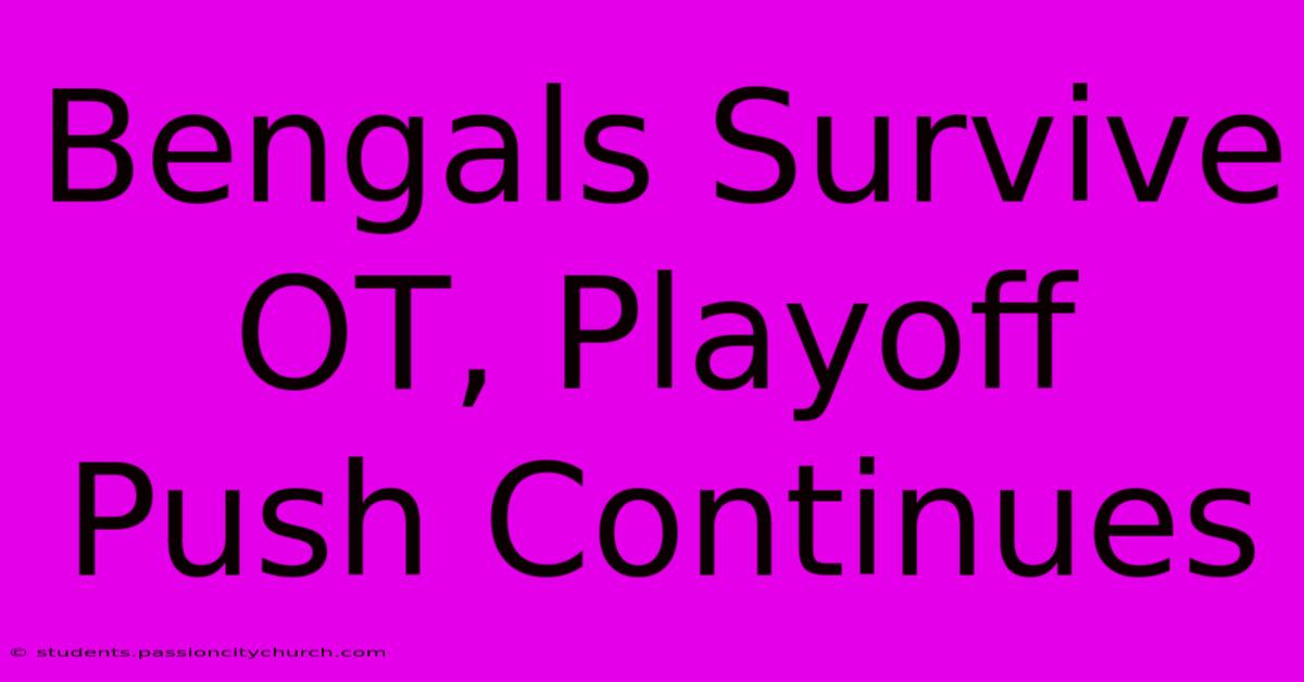 Bengals Survive OT, Playoff Push Continues