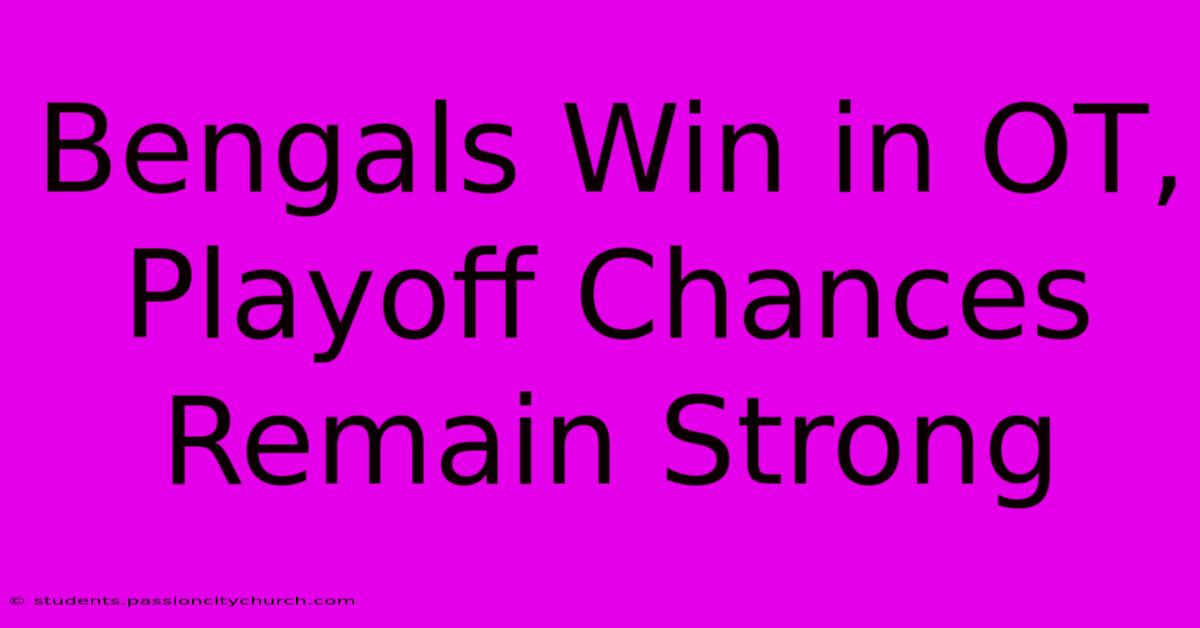 Bengals Win In OT, Playoff Chances Remain Strong