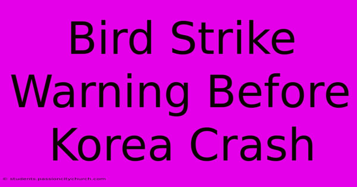 Bird Strike Warning Before Korea Crash