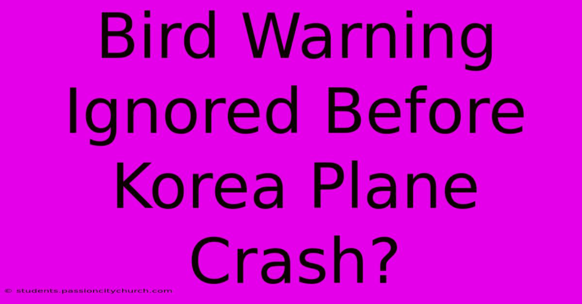 Bird Warning Ignored Before Korea Plane Crash?