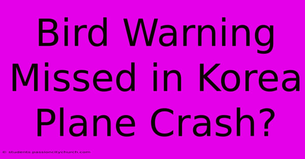 Bird Warning Missed In Korea Plane Crash?