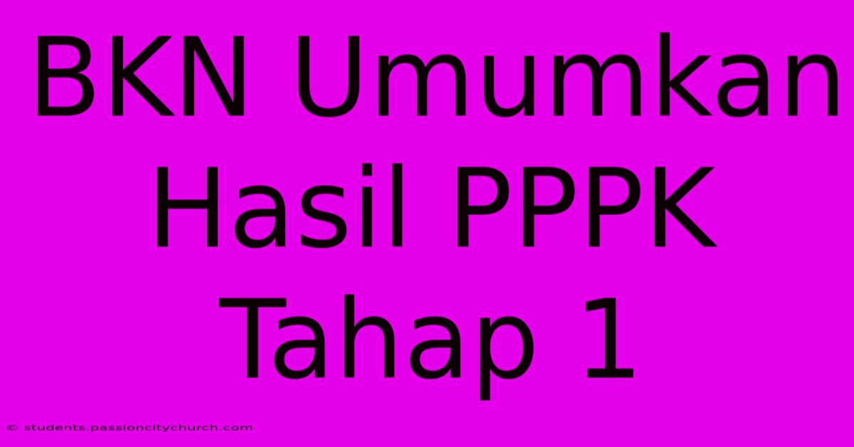 BKN Umumkan Hasil PPPK Tahap 1