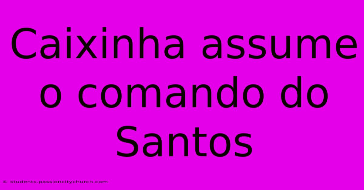 Caixinha Assume O Comando Do Santos