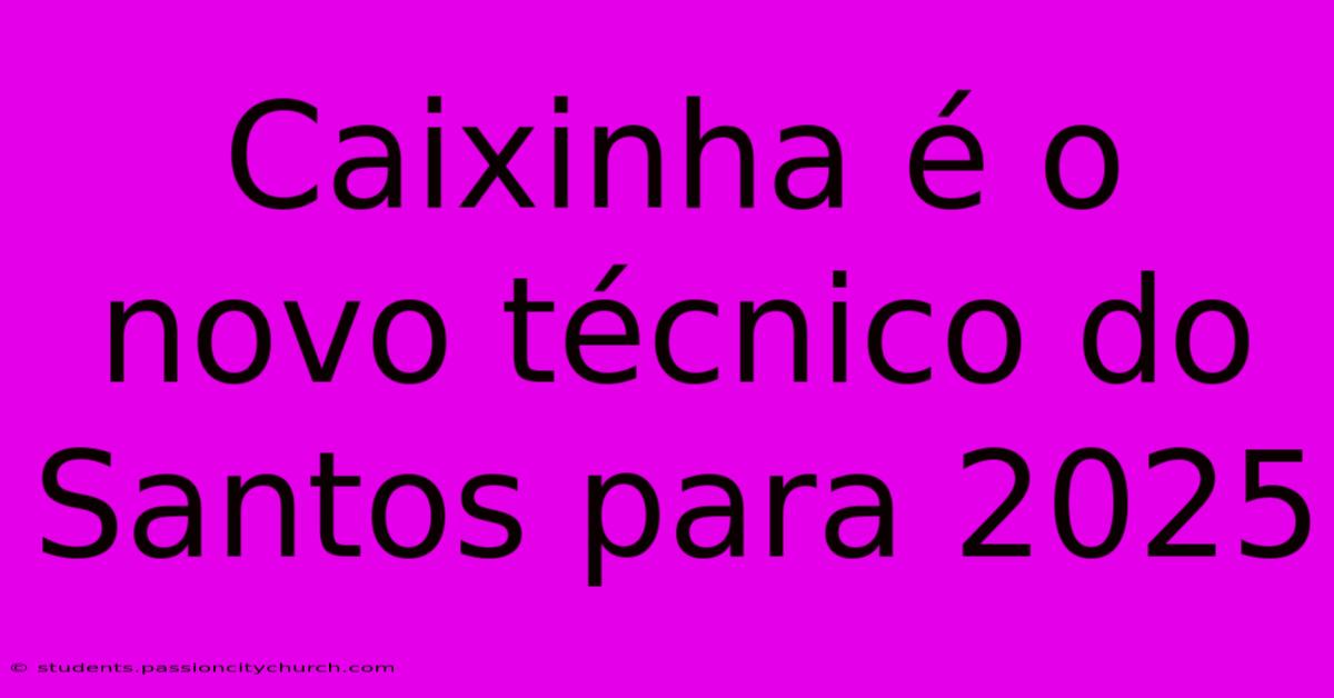 Caixinha É O Novo Técnico Do Santos Para 2025