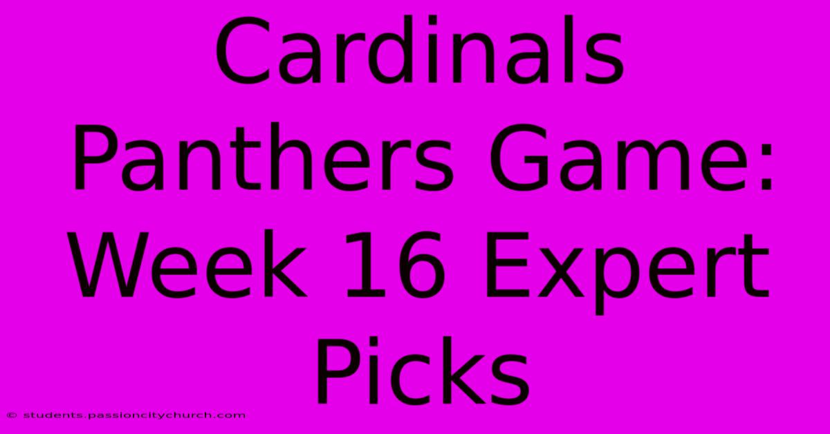 Cardinals Panthers Game: Week 16 Expert Picks