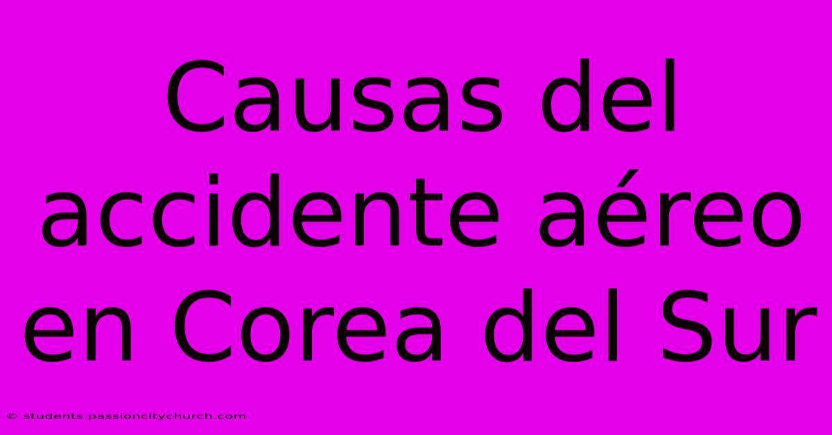 Causas Del Accidente Aéreo En Corea Del Sur