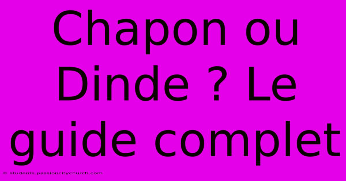 Chapon Ou Dinde ? Le Guide Complet