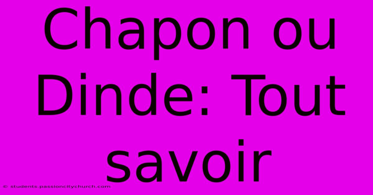 Chapon Ou Dinde: Tout Savoir