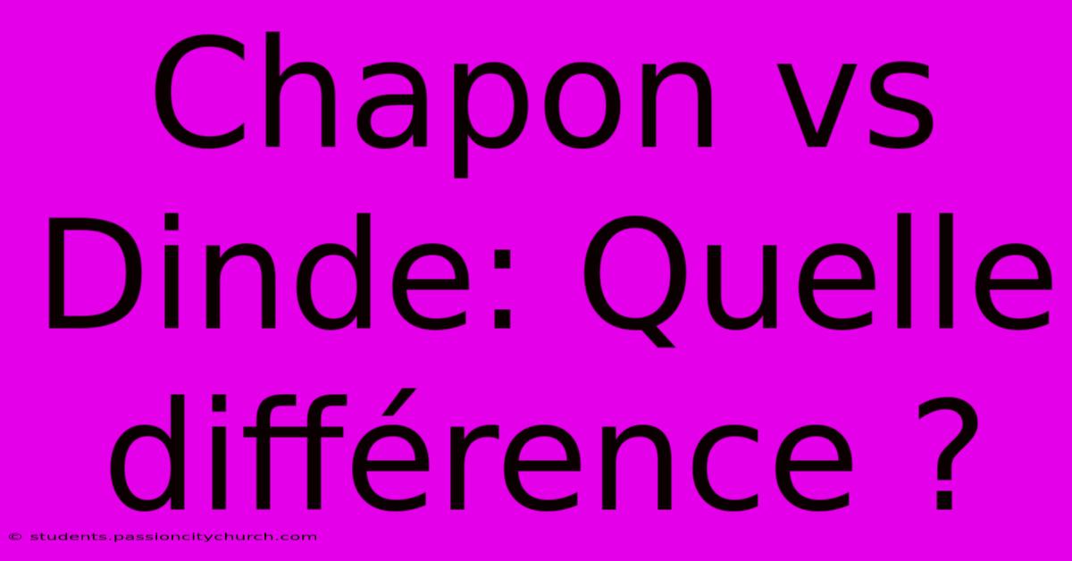 Chapon Vs Dinde: Quelle Différence ?