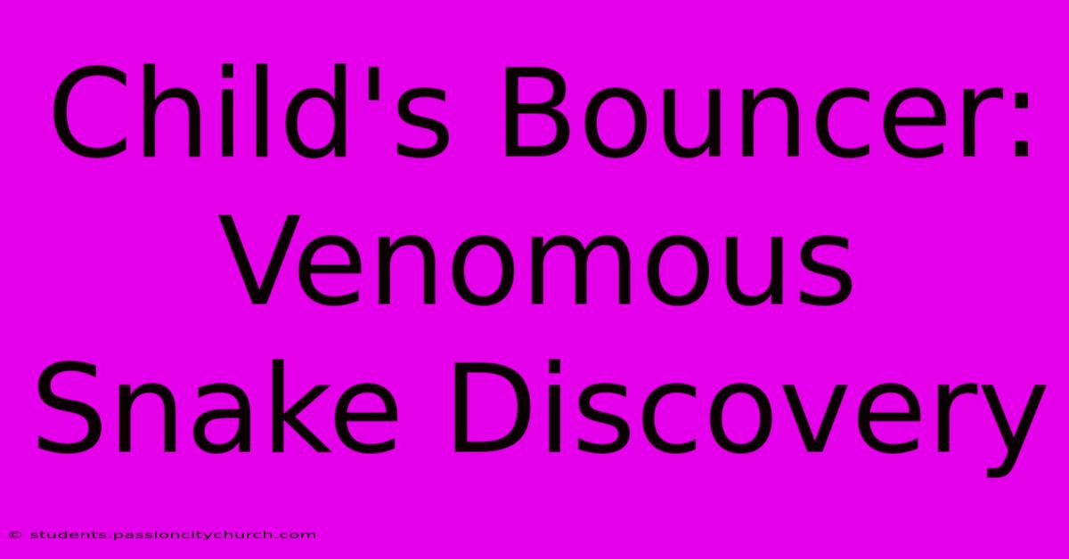 Child's Bouncer: Venomous Snake Discovery