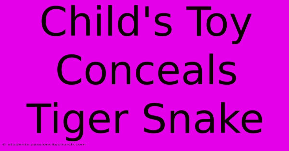 Child's Toy Conceals Tiger Snake