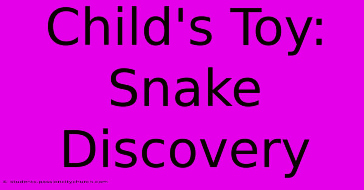 Child's Toy: Snake Discovery