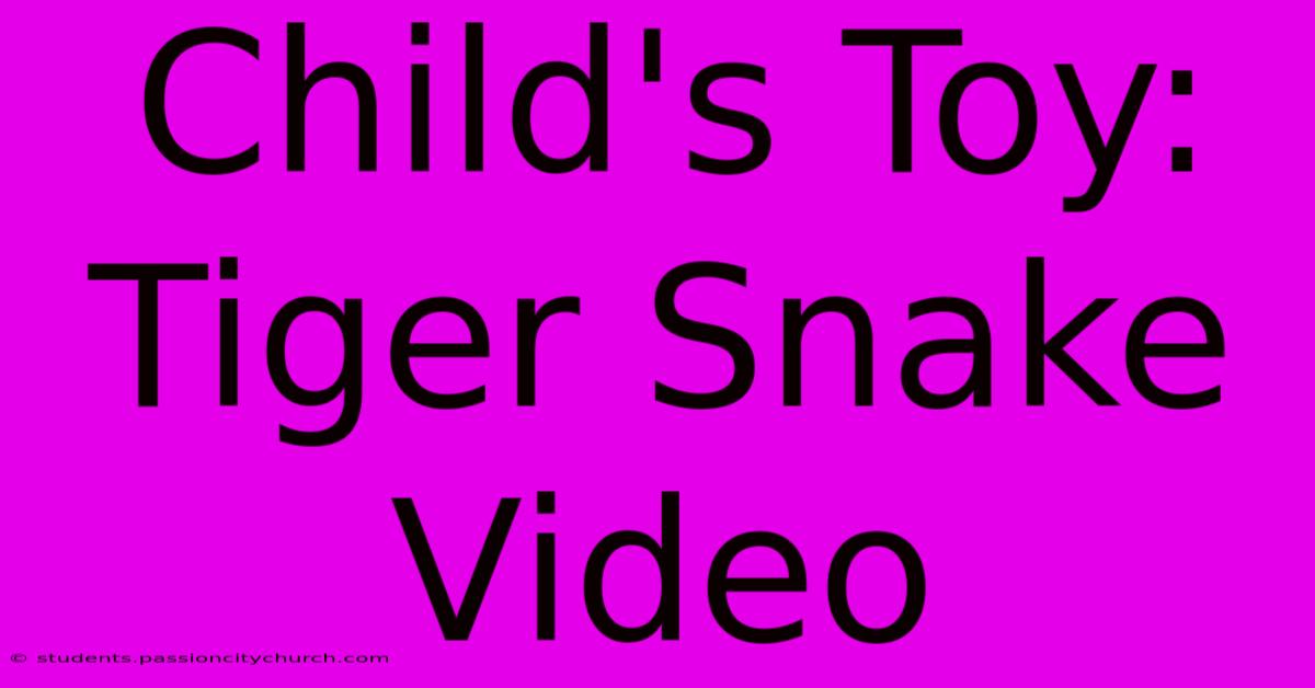 Child's Toy: Tiger Snake Video