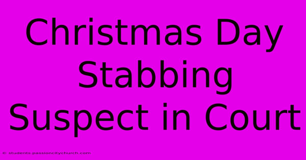 Christmas Day Stabbing Suspect In Court