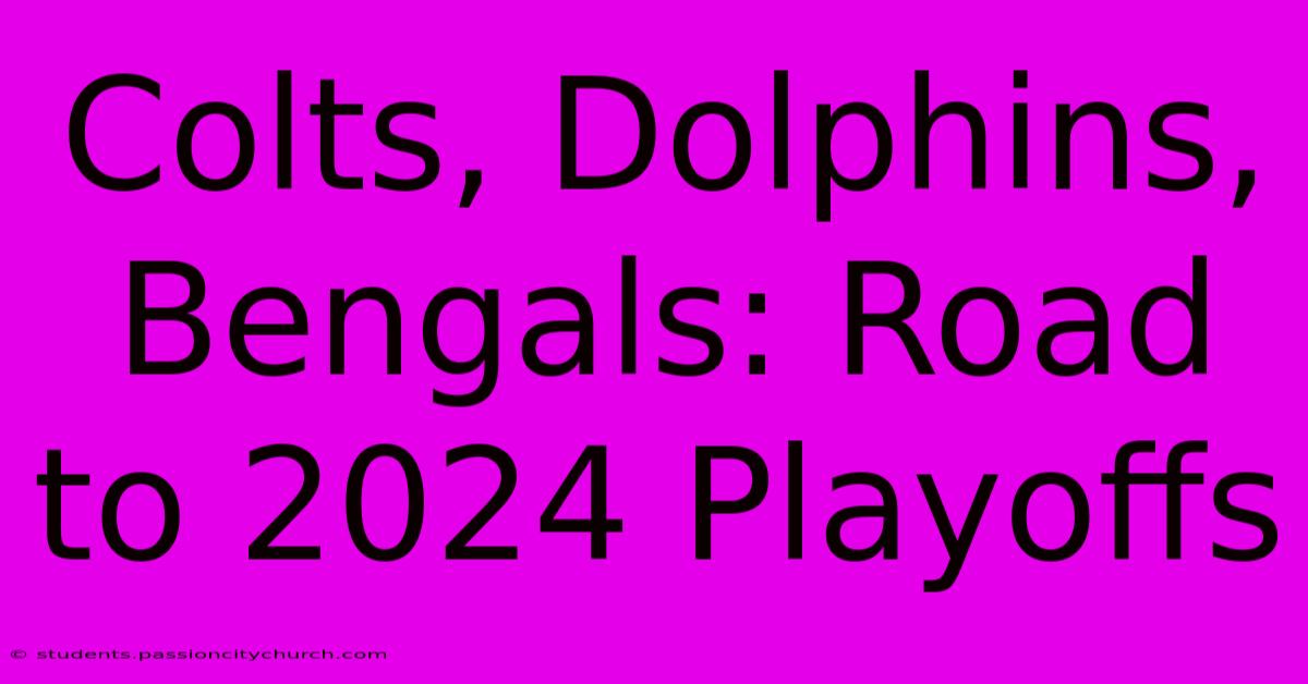 Colts, Dolphins, Bengals: Road To 2024 Playoffs