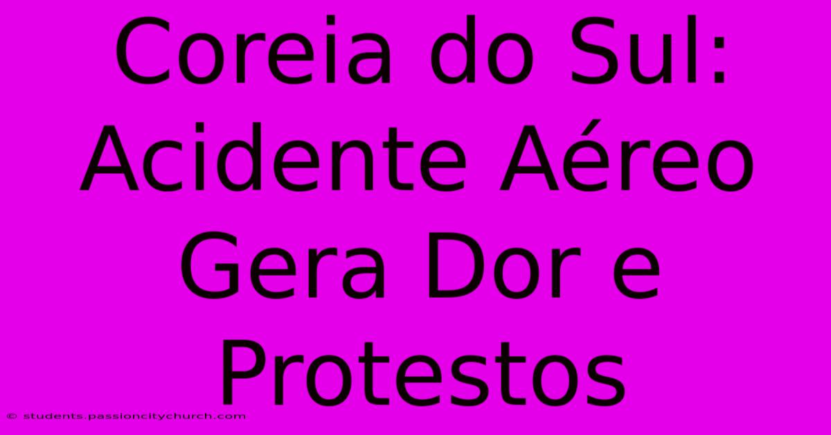 Coreia Do Sul: Acidente Aéreo Gera Dor E Protestos