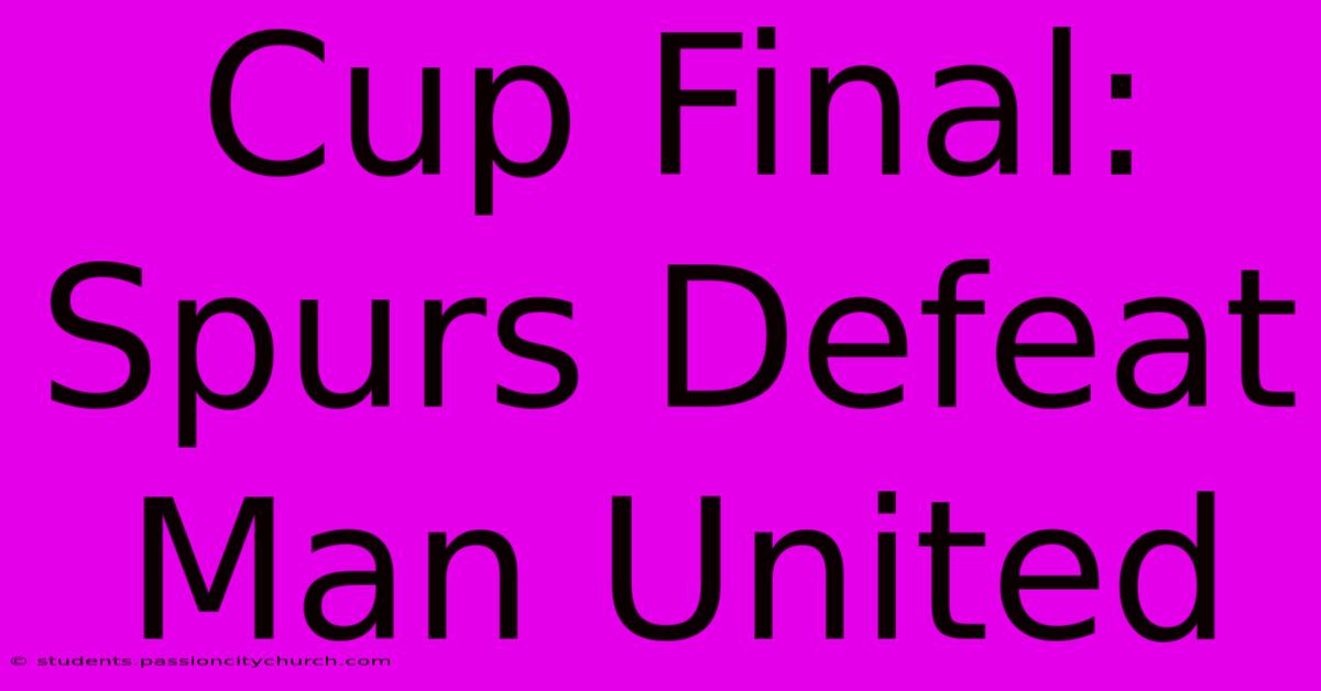 Cup Final: Spurs Defeat Man United