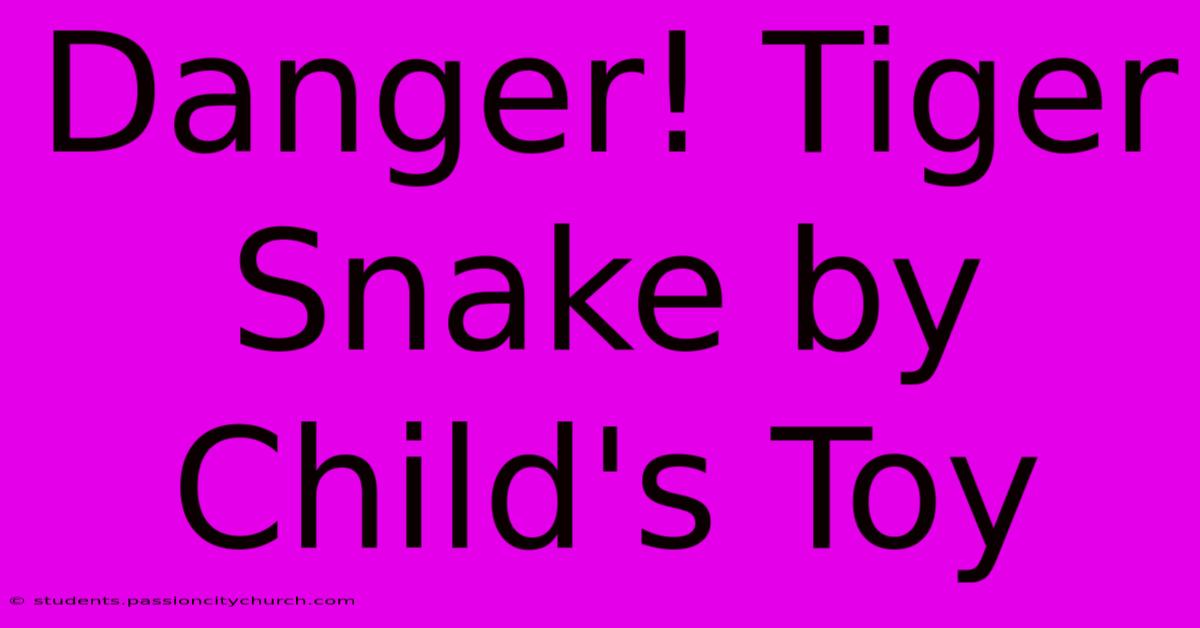 Danger! Tiger Snake By Child's Toy