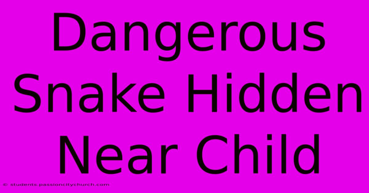 Dangerous Snake Hidden Near Child