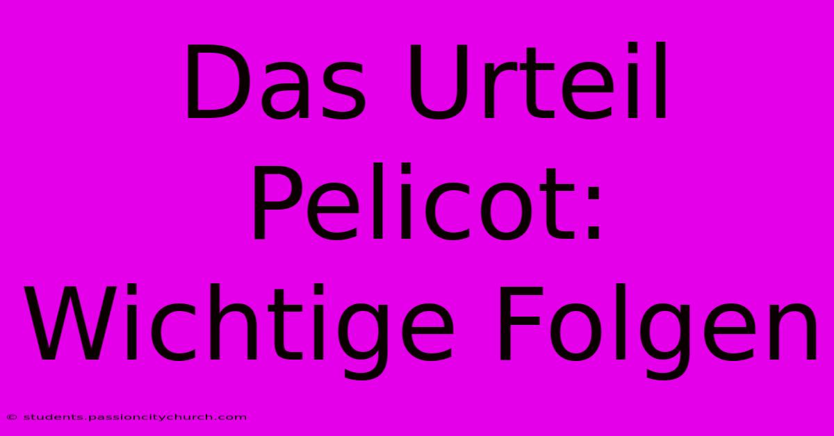 Das Urteil Pelicot:  Wichtige Folgen