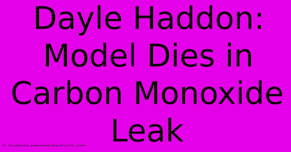 Dayle Haddon: Model Dies In Carbon Monoxide Leak