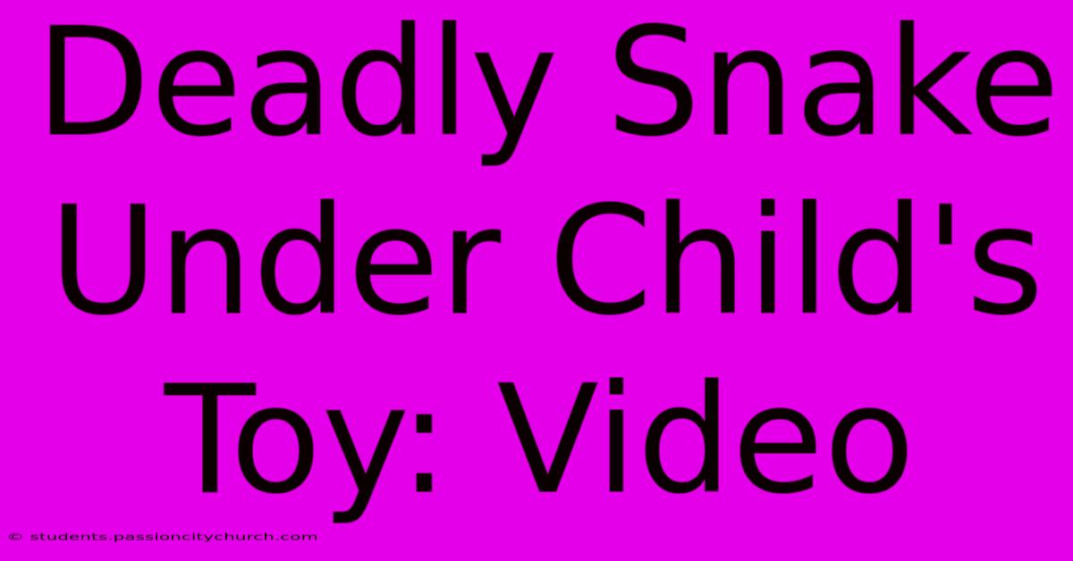 Deadly Snake Under Child's Toy: Video