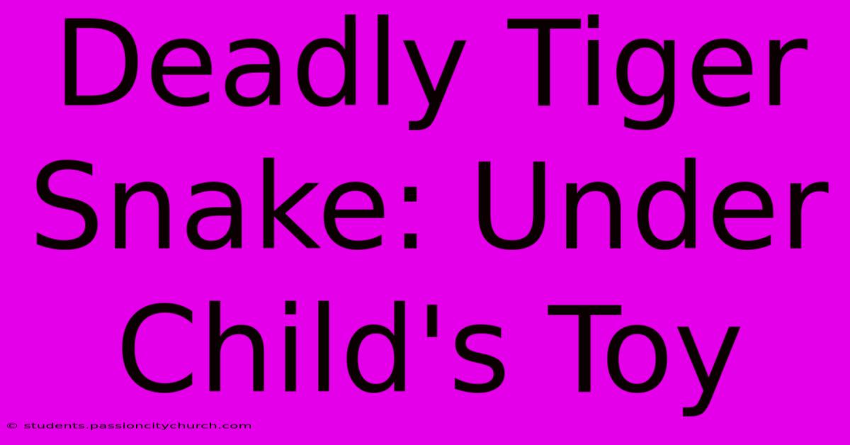 Deadly Tiger Snake: Under Child's Toy