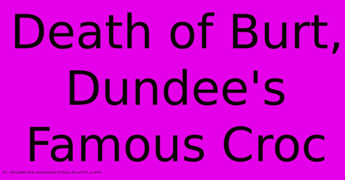 Death Of Burt, Dundee's Famous Croc