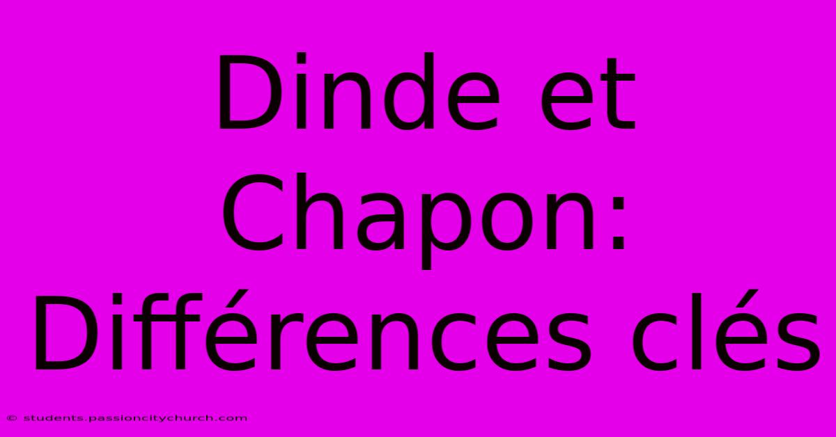 Dinde Et Chapon: Différences Clés