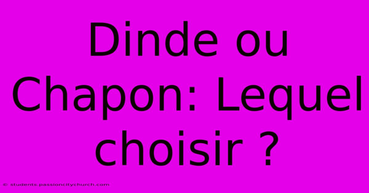 Dinde Ou Chapon: Lequel Choisir ?