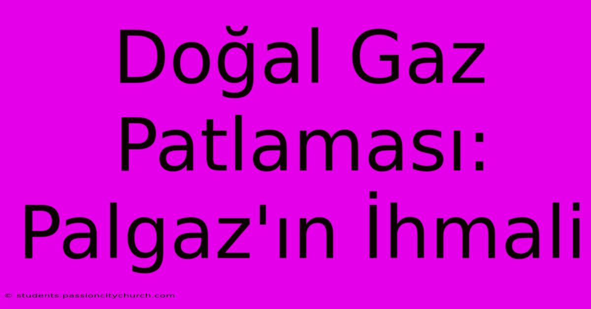 Doğal Gaz Patlaması: Palgaz'ın İhmali