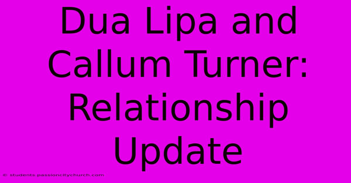 Dua Lipa And Callum Turner: Relationship Update